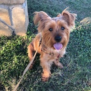 Meet your Posher, Dalila